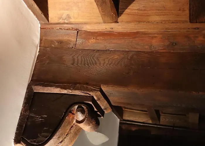 White Loft & 维泰博