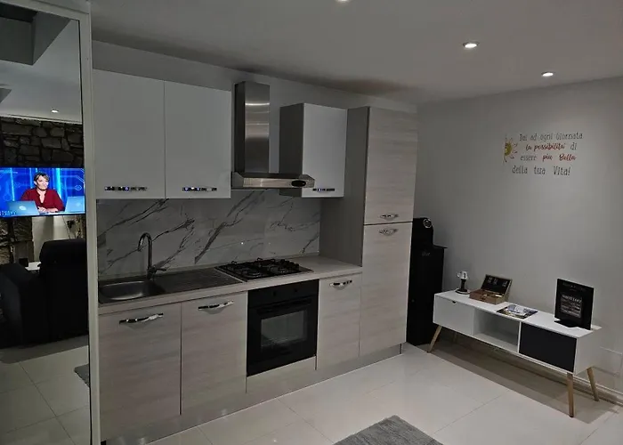 White Loft & 维泰博